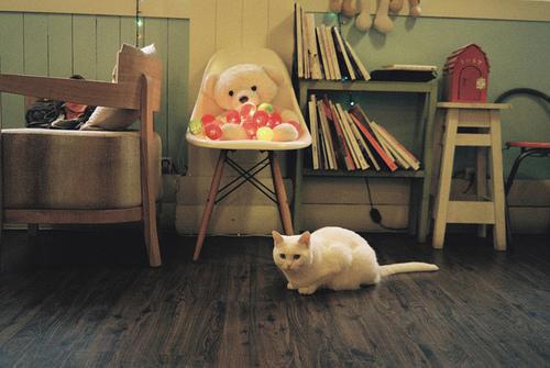 姚珂珂陆方霆小说全文免费阅读 姚珂珂陆方霆最新章节