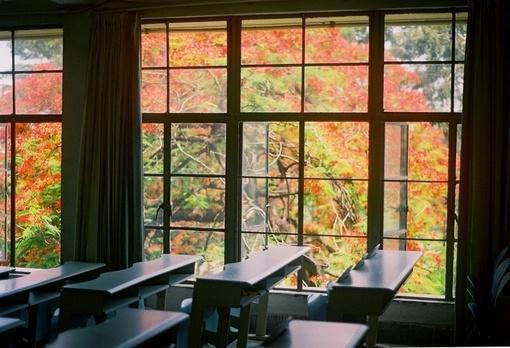 深情已晚何颜裴星洲苏语未删节小说全本阅读