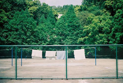 病弱公主霸道爱 主角月棠沈连青柳沉瑄小说