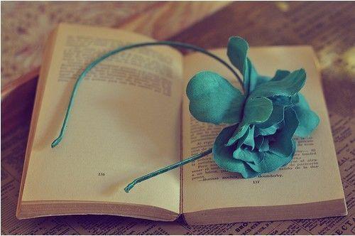 沈启阿笙小说叫什么 沈启阿笙小说全文免费阅读