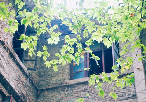 孟彦黎舒童佳无弹窗 八年归零孟彦黎舒童佳全文免费阅读