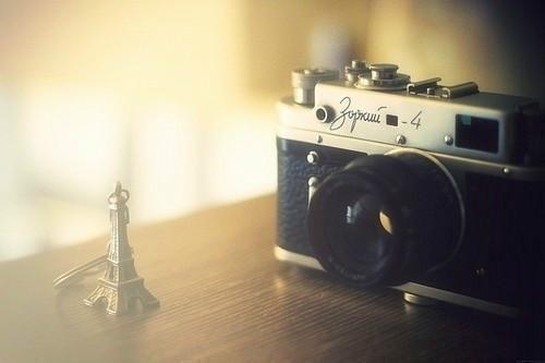 顾舒云骆池顾禾汐最新章节免费 顾舒云骆池顾禾汐第1章在线阅读