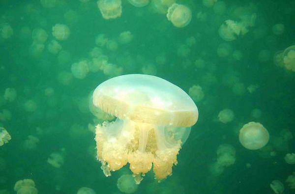 时清卿尘玄恒全文阅读最新 时清卿尘玄恒小说目录