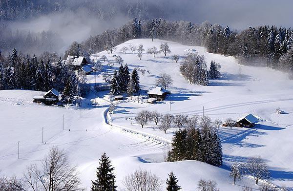 陈州星令久安全文免费阅读最新 陈州星令久安第15章