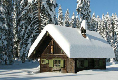 主角是沈念薇傅星澜的小说免费阅读全文大结局