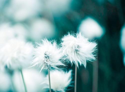 重生归来,师姐抢了我的灵兽李若芜乐游最新章节在线阅读