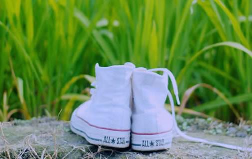 聂芸谢成霖免费小说 聂芸谢成霖完结版在线阅读