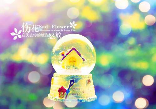 叶浅秋程敬怀小说在线阅读 叶浅秋程敬怀最新章节目录