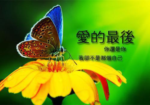 李菲菲小说 李菲菲免费章节阅读