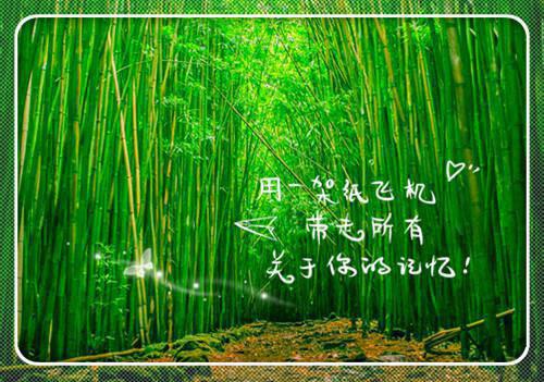 罗梦菲叶乔全文免费阅读（流光初梦小说）全文免费罗梦菲叶乔读无弹窗大结局_罗梦菲叶乔全文免费罗梦菲叶乔读（流光初梦小说）最新章节列表（罗梦菲叶乔）