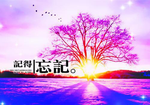 姜月言谢临昶免费全文 姜月言谢临昶小说在线阅读