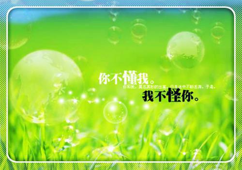 女杀手她深陷黑化疯批修罗场徐心 宋锦墨宋宴秋小说