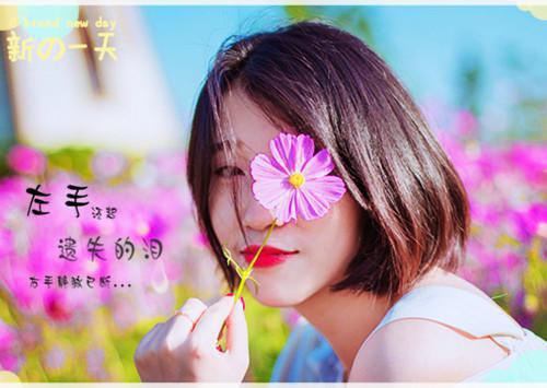 江清妧陆浺全文(江清妧陆浺）全文免费阅读无弹窗大结局_江清妧陆浺全文最新章节列表（江清妧陆浺全文）