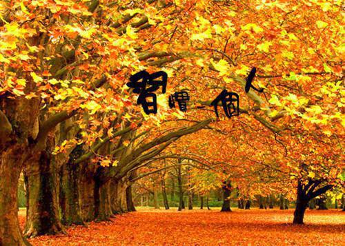 楚晚卿萧时宴完整未删减版在线阅读 楚晚卿萧时宴结局