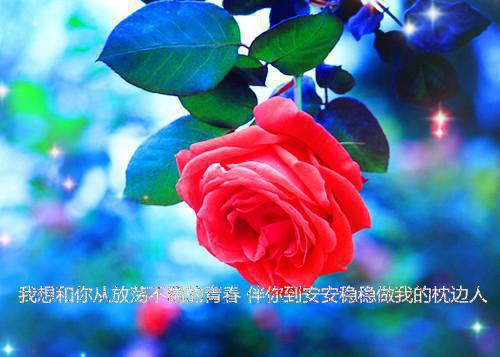 主角是姜清玥秦昃的小说免费阅读全文大结局