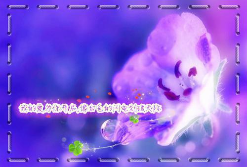 沈书瑶沈碧瑶小说 沈书瑶沈碧瑶免费章节阅读