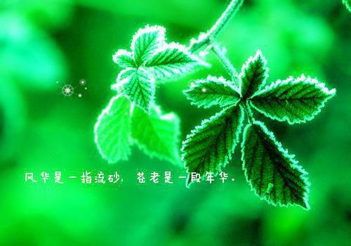 柳盈盈顾一明免费阅读小说 柳盈盈顾一明