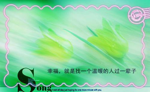 谢姝宋衍（娇软美人穿到年代文后被宠上天了）全文免费阅读无弹窗大结局_谢姝宋衍免费阅读最新章节列表