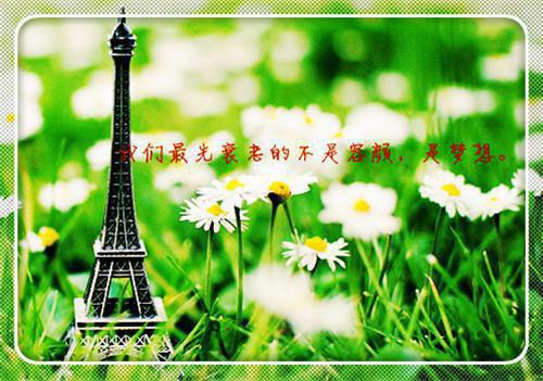 无弹窗被反攻略了傅泽川钰儿傅泽怀小说未删减版全集免费试读