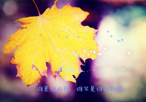 许初夏厉衍寒免费阅读小说 许初夏厉衍寒第二章