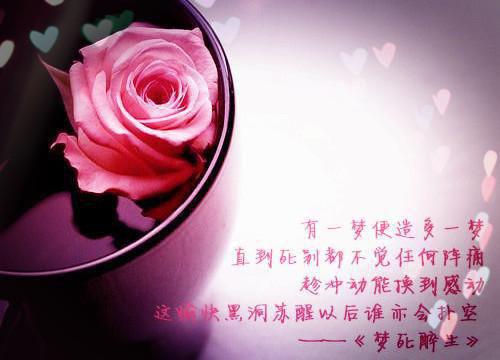 沈景涛林筱颜（林筱颜沈景涛）全文免费阅读无弹窗大结局_（林筱颜沈景涛）免费阅读无弹窗最新章节列表