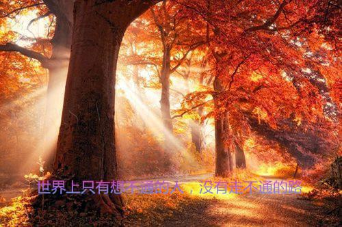 慕怡林冠宇免费小说 慕怡林冠宇全文阅读目录