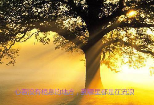 荣令琬蒋玉清荣温隐小说章节免费阅读 荣令琬蒋玉清荣温隐无弹窗