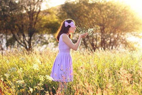 (最新)楚军小说完整版免费阅读