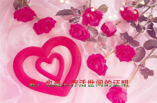 主角名是王一霖王蕾杨安安全文免费阅读正版