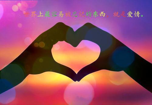 茉茉童童是哪部小说的主角 茉茉童童全文阅读