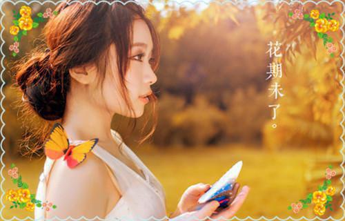 叶秋叶谨小说叫什么 叶秋叶谨小说全文免费阅读