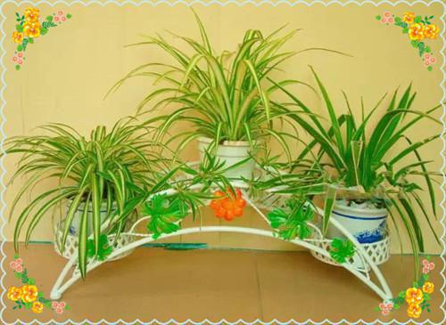 我死后,他后悔了小说免费看 宋涵菡钟瑛周正阳舒凝微信内阅读