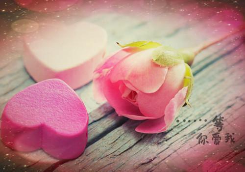 姜云雪顾昭临小说全本资源（姜云雪顾昭临）全文免费阅读无弹窗大结局_(姜云雪顾昭临小说)最新章节列表（姜云雪顾昭临）