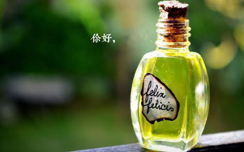 听说你要抵抗我小说免费阅读宋也苏阮全文精彩内容免费阅读