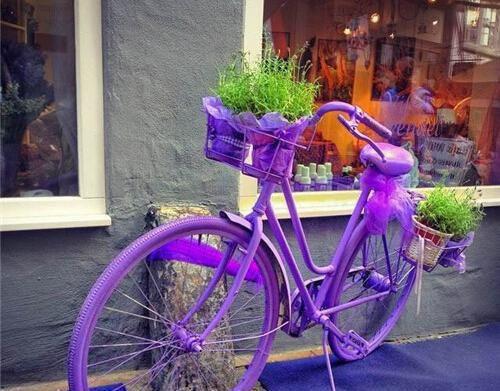 小文第20章 发帖的男友小说全部章节目录