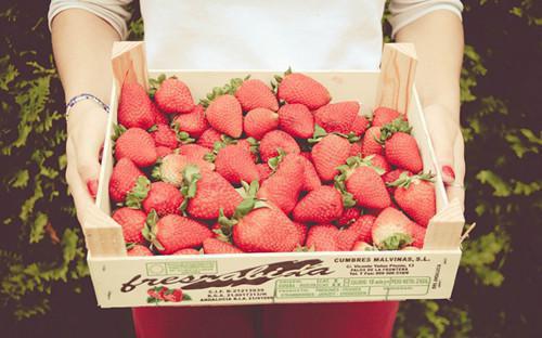 别嫁给其他人最后一章在线阅读 沈栀赵贺平蒋进全文小说完整版