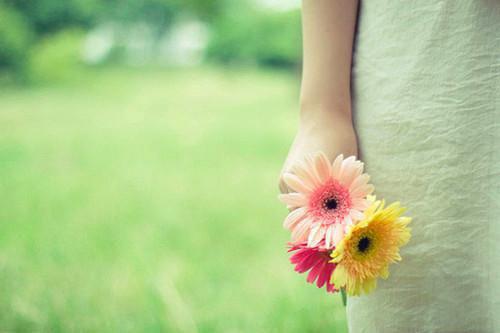 张之彦阮静（阮静张之彦）全文免费读无弹窗大结局_张之彦阮静免费阅读全文大结局最新章节列表