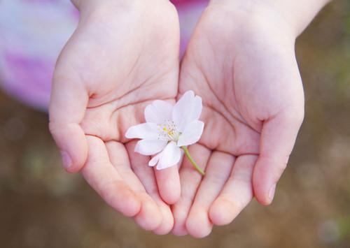 宴萧（和三金影帝谈一场双A恋）全文免费阅读无弹窗大结局_（宴萧全文阅读）和三金影帝谈一场双A恋无弹窗最新章节列表