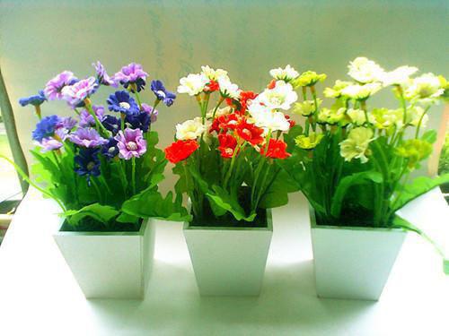 许文清周定锡大结局免费阅读 许文清周定锡全文小说