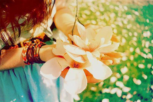 沈南溪季延深小说 沈南溪季延深免费章节阅读