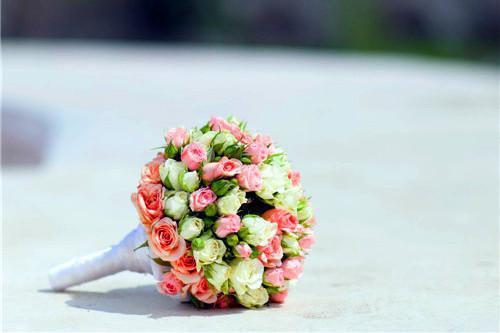 陆亭书江亦菲近期热推小说-陆亭书江亦菲小说无弹窗试读