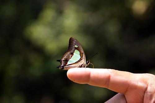齐巍李怀仪免费小说 齐巍李怀仪完结版在线阅读