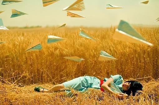 傅言清沈音全文阅读最新 傅言清沈音小说目录