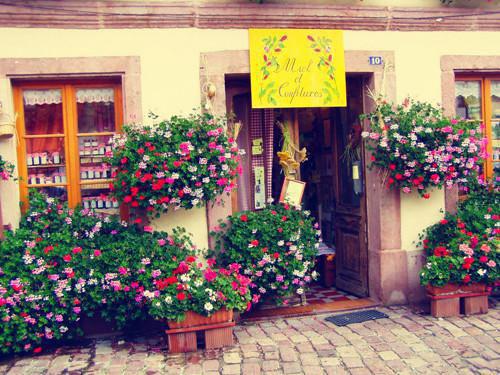 招娣小说名字 鹿女章节试读