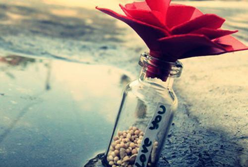 沈璃月陆行周小说好看吗沈璃月陆行周热门推荐小说（陆行周沈璃月）全章节阅读