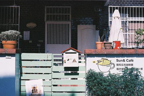 林盼娣林耀祖小说阅读 林盼娣林耀祖全文免费无广告