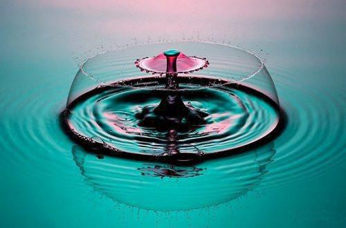 刘建风陈阳免费全本小说 刘建风陈阳章节目录