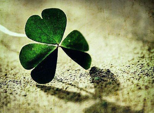 《于安青楚羽辰小说》无弹窗全文免费阅读