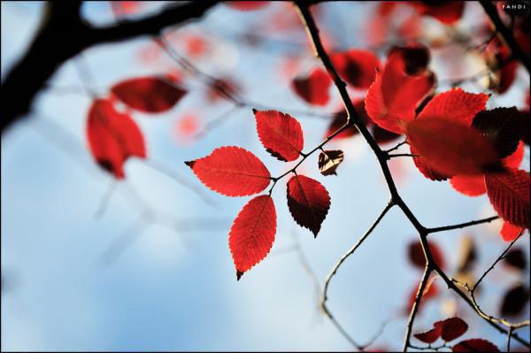 才造个纳米芯片，鹰酱你慌什么？（林煜宋韵）已完结，才造个纳米芯片，鹰酱你慌什么？已完结