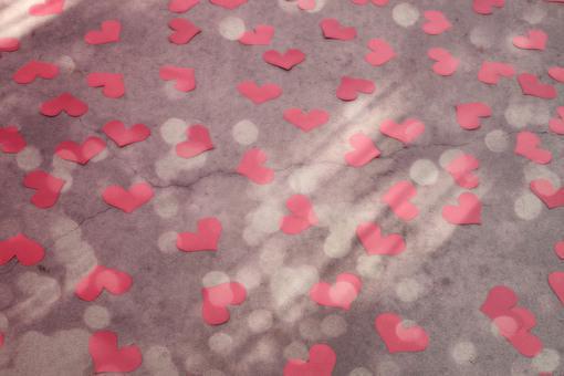 夏冰张城小说全集免费阅读 我死后妈妈疯了在线章节